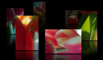GALERIA FLASH XML galeria flash xml: