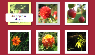 GALERIA FLASH XML galeria flash xml: